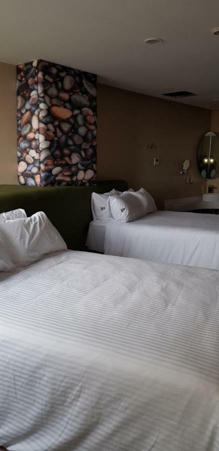 Hotel Quinto Elemento Mexico
